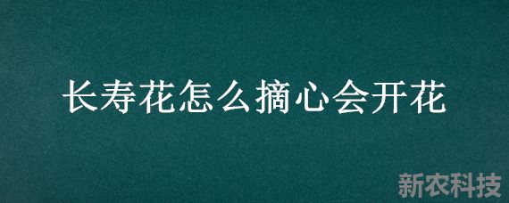 长寿花怎么摘心会开花