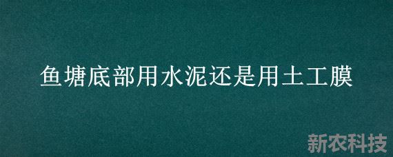 鱼塘底部用水泥还是用土工膜