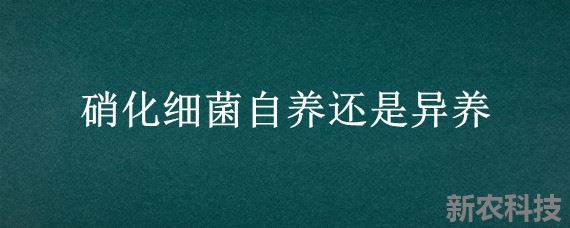 硝化细菌自养还是异养