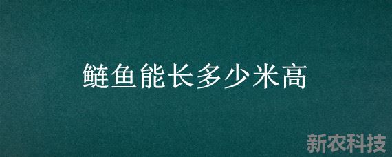 鲢鱼能长多少米高