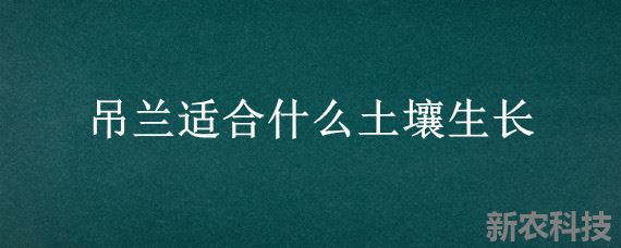 吊兰适合什么土壤生长