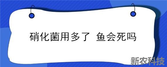 硝化菌用多了 鱼会死吗