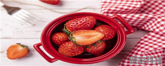 草莓的生长周期是几月到几月 草莓的生长周期是多长时间