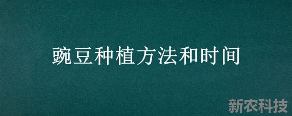 豌豆种植方法和时间