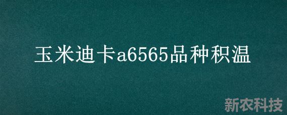 玉米迪卡a6565品种积温