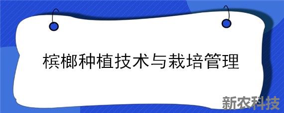 槟榔种植技术与栽培管理