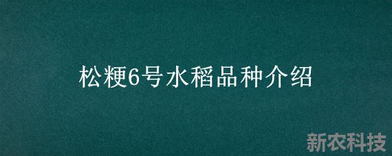 松粳6号水稻品种介绍