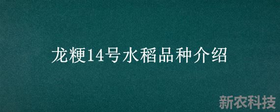 龙粳14号水稻品种介绍