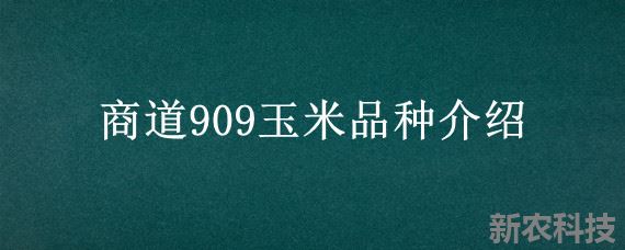 商道909玉米品种介绍