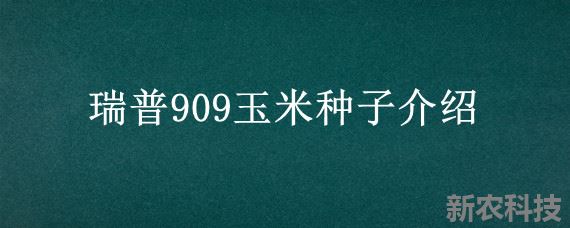 瑞普909玉米种子介绍