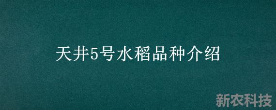 天井5号水稻品种介绍