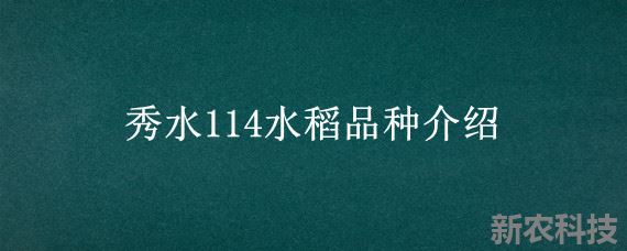 秀水114水稻品种介绍