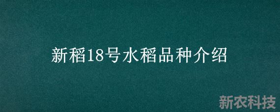 新稻18号水稻品种介绍