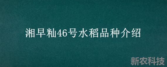 湘早籼46号水稻品种介绍