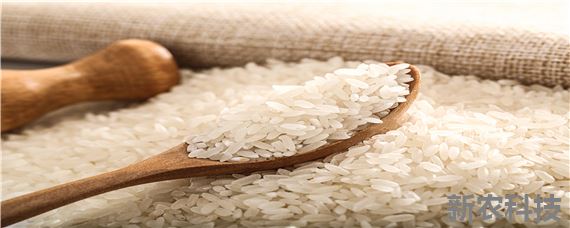 五常大米种植过程