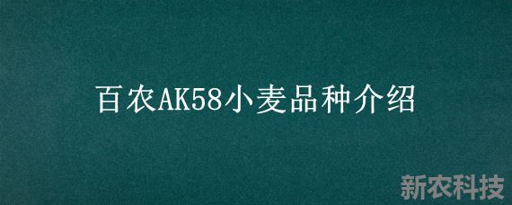 百农AK58小麦品种介绍
