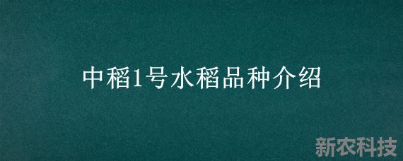 中稻1号水稻品种介绍