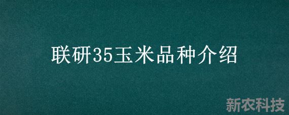 联研35玉米品种介绍