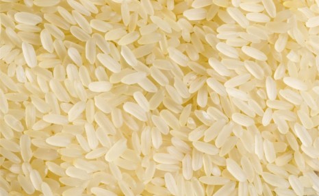 麻雀可以吃熟米饭吗
