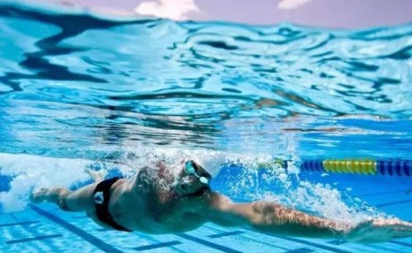 哪种泳姿最快最省力：哪种泳姿最省力、最快？